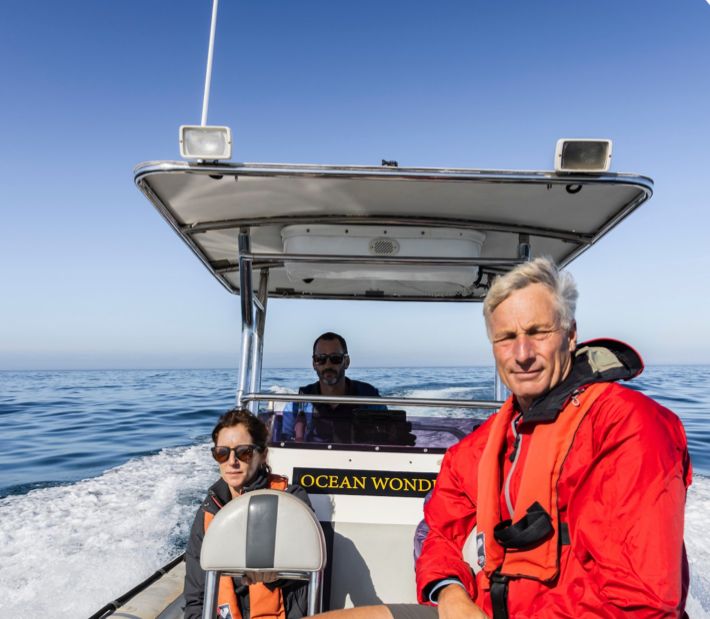 Ocean Therapy | City Energy & Ocean Calm | Greenpoint