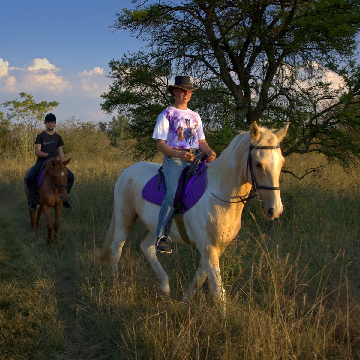 Rooted in Nature | Midrand Edition