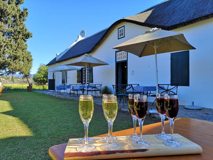 Winter Reset: Skyline, Sip & Serenity | Cape Town City