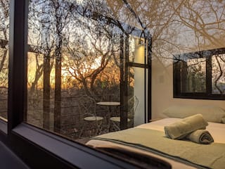 Rooted in Nature | Midrand Edition