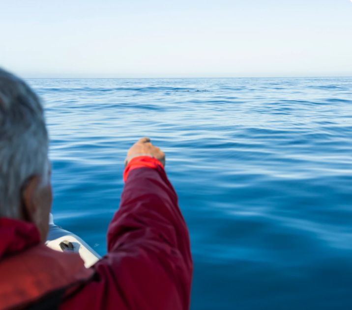 Ocean Therapy | City Energy & Ocean Calm | Greenpoint