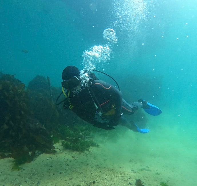 Ocean Therapy | Muizenberg Ocean Emotional Reset & Adventure