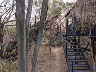 Rooted in Nature | Midrand Edition