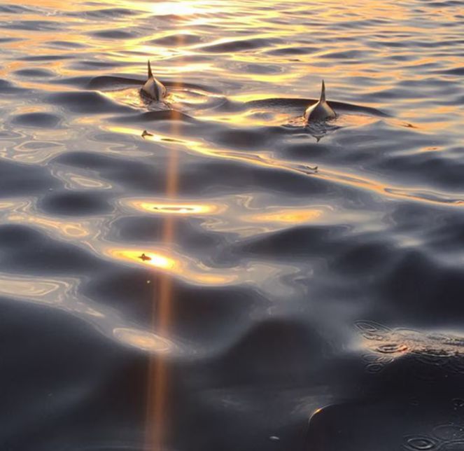 Ocean Therapy | City Energy & Ocean Calm | Greenpoint
